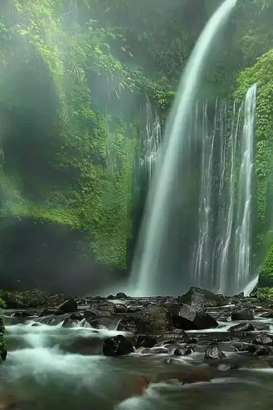 探索知识星球平台,尽览杜峰朱芳雨酝酿大交易,他们会不会用胡明轩换周琦呢?的精彩内容